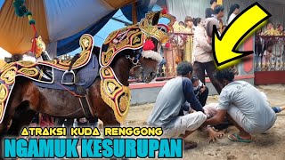 Download lagu Kuda renggong - Atraksi kuda renggong ngamuk kesurupan mp3