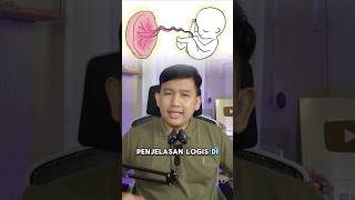 Download lagu This is the reason why the baby's placenta must be buried and there must be a light. mp3