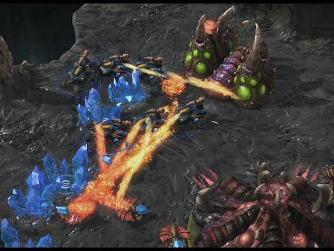 TvZ BBQ Party Opening - The PiG Daily #129