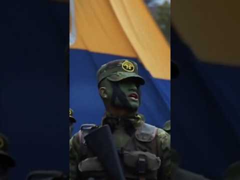 Operativo en Esmeraldas: destruyen centros mineros… ¿pero falta capturar a los que mandan? #noticias