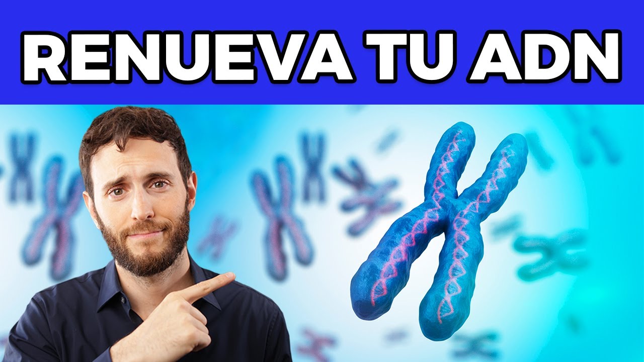 How to Reverse Aging (TELOMERES)