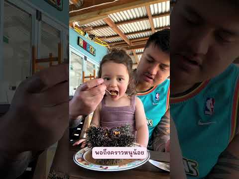 ครั้งแรกของหนูน้อย! เมื่อคุณพ่อแกะหอยเม่นสดๆ ให้ชิม