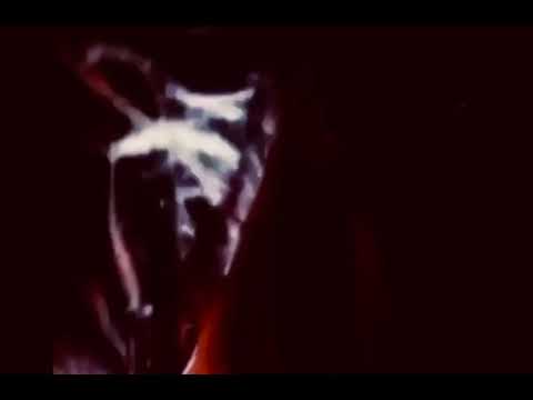 Allman Brothers Band- Don’t Keep Me Wondering (Live 1970) *VIDEO*