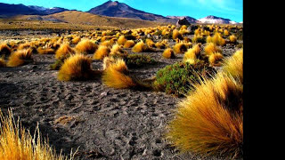 Massive Attack   Future Proof