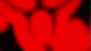 Benjamin Ang - (The Kidnapper Bell "mono") Sample