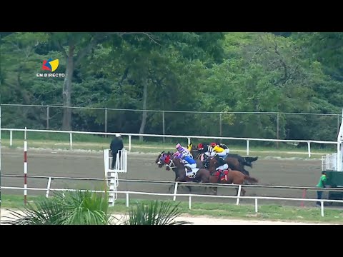 9th race | 3rd race valid | GUILLERMINA | La Rinconada Racecourse | 35th Meeting | 2025