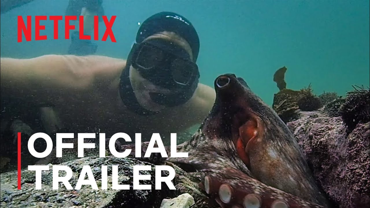 My Octopus Teacher | Official Trailer | Netflix thumnail