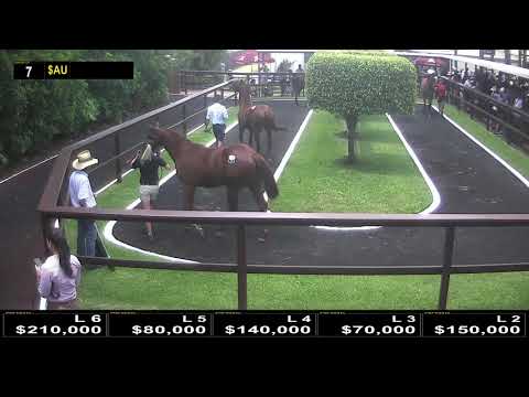 2018 Gold Coast Yearling Sale - Day 1 (Live Stream Archive)