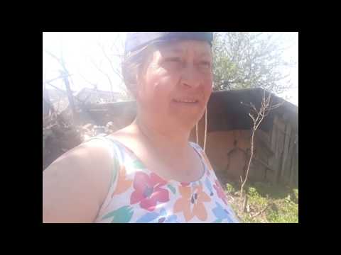 Cum ne mentinem in forma