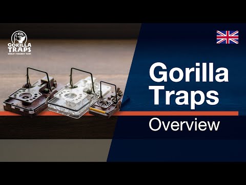 Gorilla Traps | The most advanced traps for rats and mice