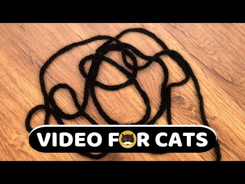 CAT GAMES - Black Yarn String. Videos for Cats to Watch | CAT TV | 1 Hour.