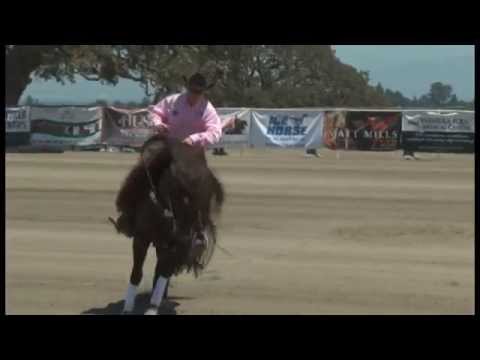 Jacs Electric Velvet 2014 RBB