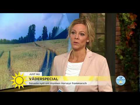 Harvey: ”Största regnmängderna hittills i USA” - Nyhetsmorgon (TV4)