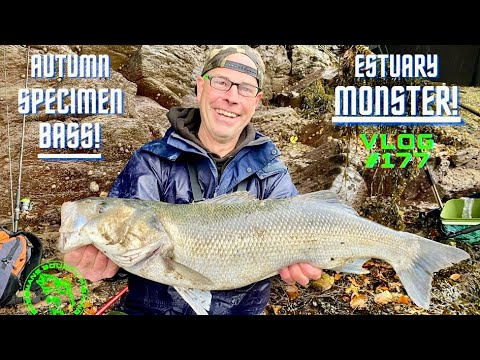 4 kilos havbars på agnfisk