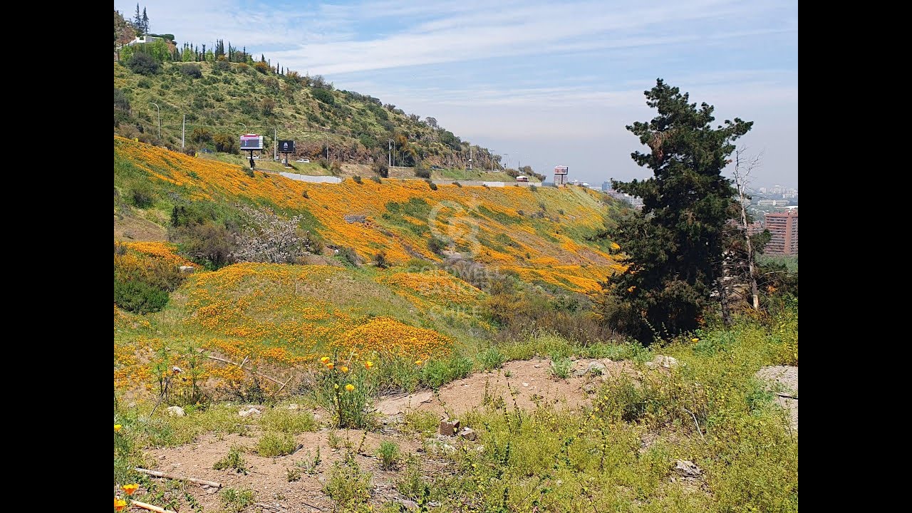 Land Plot For Sale, Gran Via Provincia De Santiago (Vitacura, Chile)