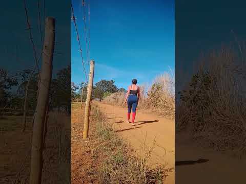 Caminhada sertaneja Comunidade Santa Rita município Vianópolis Goiás Brasil