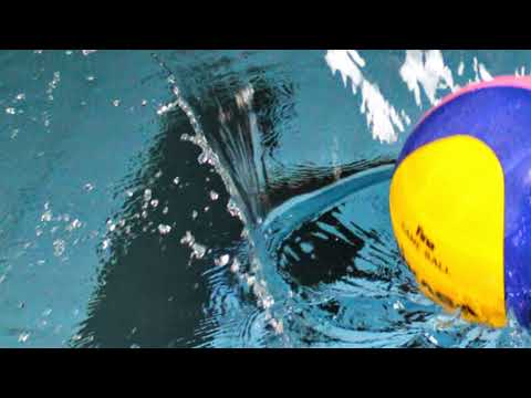 Schwimmverein Ludwigsburg 08 e.V. Live Stream