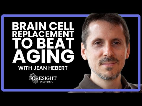 Brain Cell Replacement to Beat Aging | Jean M. Hebert, Albert Einstein School of Medicine