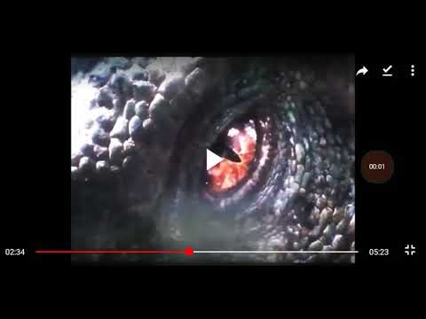 Toon Age Dawn Of The Animals(2)