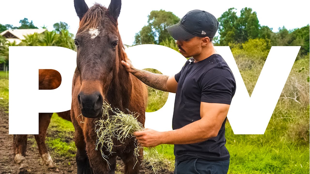 SUMA POR UM TEMPO E VOLTE COM SUCESSO…