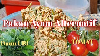 Download lagu Pakan Alternatif Untuk Ayam Arab dan Kampung mp3 Download lagu Pakan Alternatif Untuk Ayam Arab dan Kampung mp3