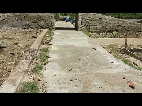 Rc Volvo fh 12 Timber truck full load skipped