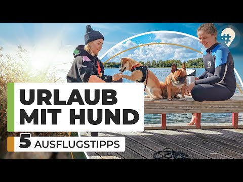 Urlaub mit Hund: Unsere Top 5 Ausflugstipps | Doku Tiere & Reisen | #hinREISEND