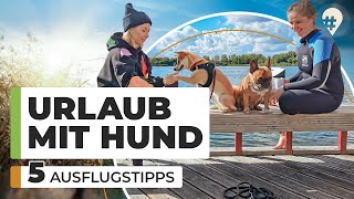 Urlaub mit Hund: Unsere Top 5 Ausflugstipps | Doku Tiere & Reisen | #hinREISEND