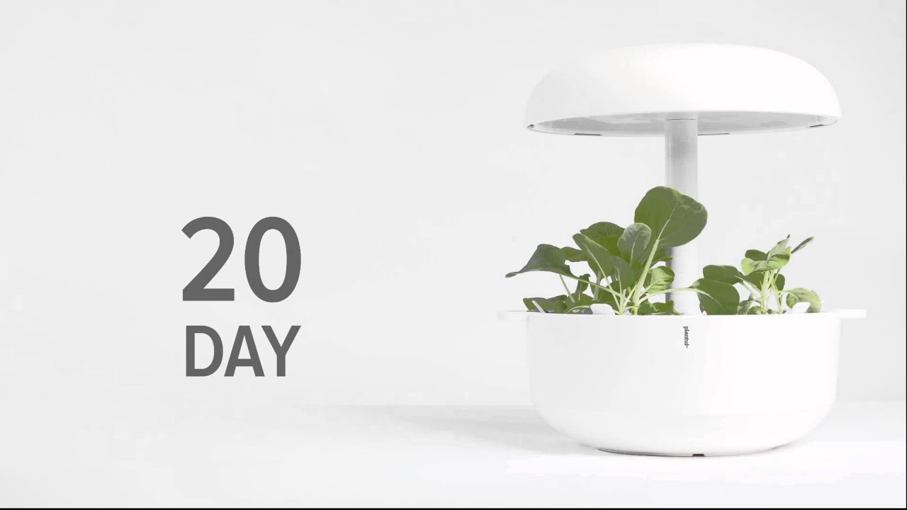 Plantui 6 + Experimental Kit (White) video thumbnail