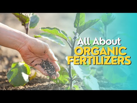 All About Organic Fertilizers