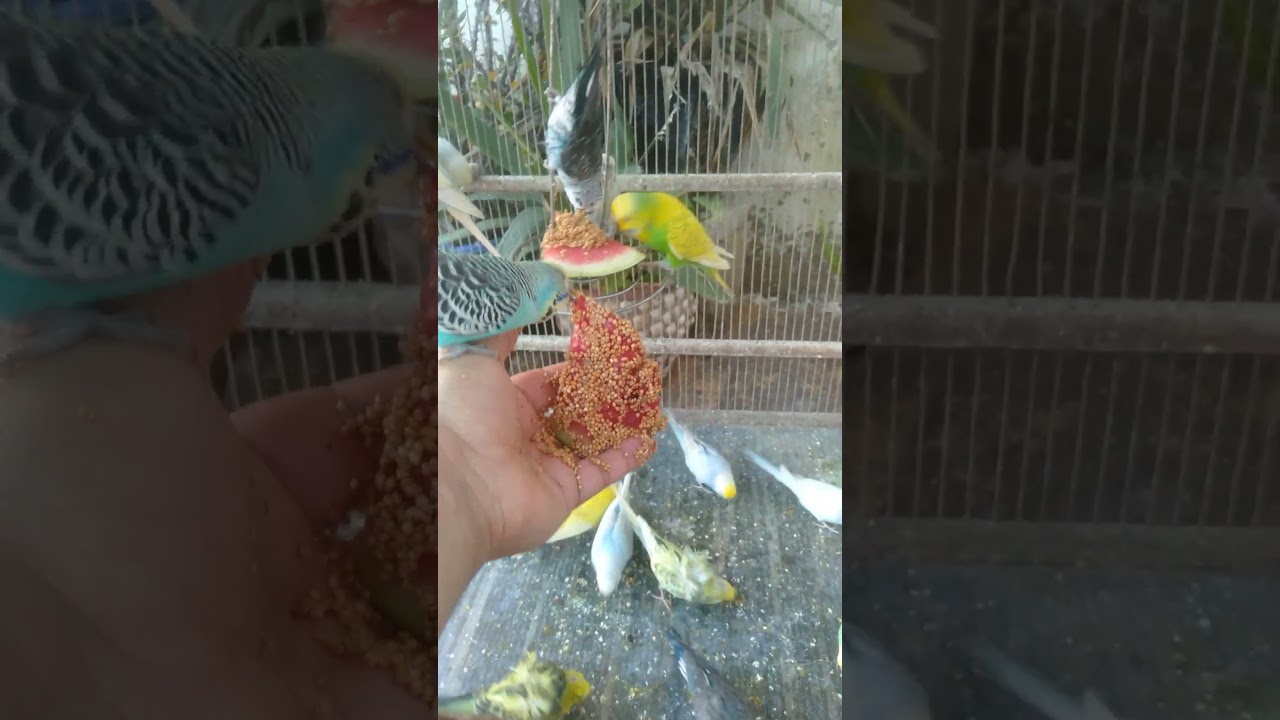 🛒結果はもう出ていた