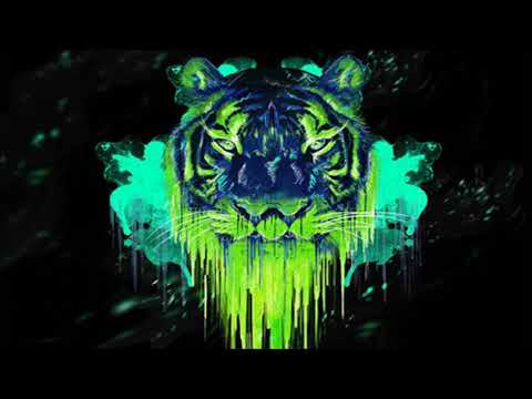 Raptatek - Sourd Cil