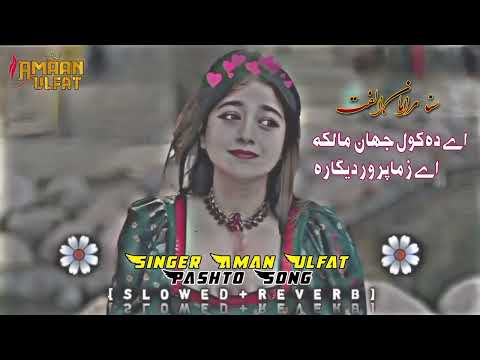Pashto New Song 2025 | Aye Da Kul Jahan Malika | Amaan Ulfat New Songs 2025