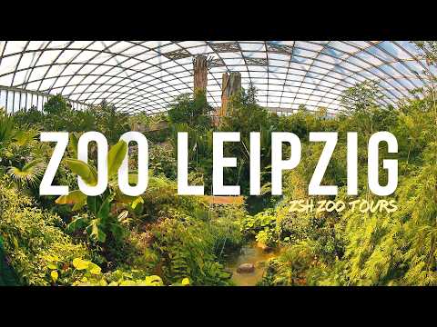 Zoo Leipzig Tour | The Best Zoo in Germany?