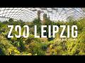 Zoo Leipzig Tour The Best Zoo In Germany