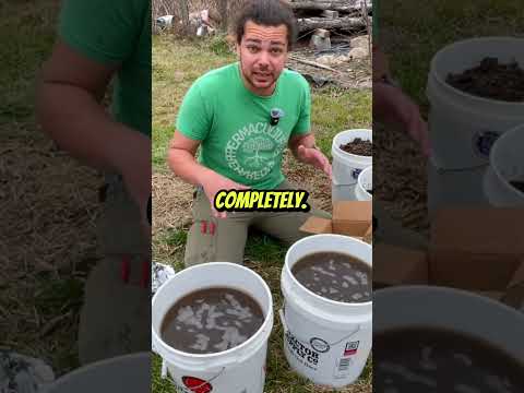 Microbes Eradicate Toxins: A Composting & Garden Essential