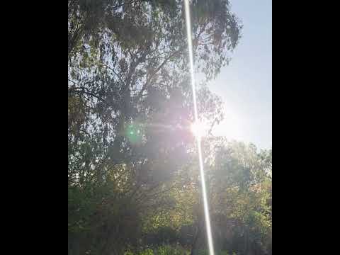 2 Hectáreas de Chacra Náutica en Alto Pecan - L52 - Villa Paranacito - Sur de Entre Ríos