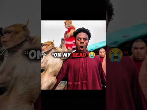 Monkey Climbed on Speed’s Head in Morocco 😭🐒