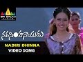 Narasimha Naidu Songs Nadiri Dhinna Video Song Balakrishna Preeti Jhangiani Sri Balaji Video