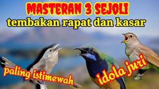 Download lagu MASTERAN TEMBAKAN RAPAT DAN KASAR untuk Murai Batu || Cigun-cungkok-Sikatan londo mp3 Download lagu MASTERAN TEMBAKAN RAPAT DAN KASAR untuk Murai Batu || Cigun-cungkok-Sikatan londo mp3
