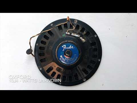 12 TEN INCH SPEAKERS TESTED IN A 1967 FENDER PRINCETON