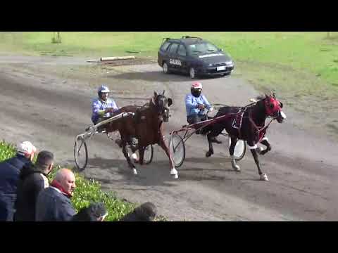 MANIFESTAZIONE DEL 13 11 2022