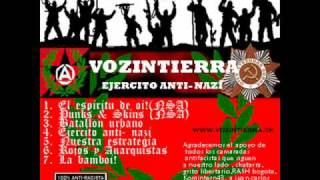 Vozintierra - Punks & Skins - N.S.A