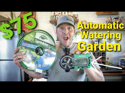 Automatic Watering Garden For Around $75