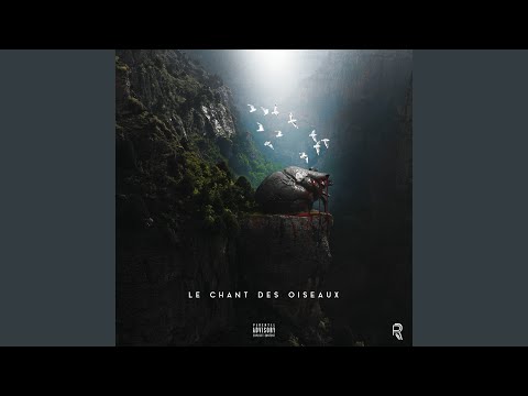 Video thumbnail for 1000°C