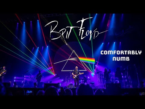 Brit Floyd - Comfortably Numb