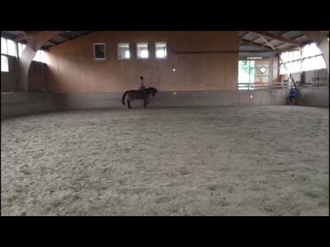 Wallach von Quintender