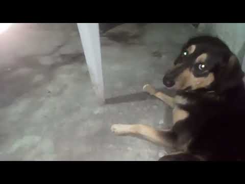 POXA DA. LIKE. AE. ME. AJUM. AGRADEÇO DE. CORAÇÃO 