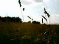 "Oceans Apart" by The Fire Theft - pfinarffle "Oceans Apart" by The Fire Theft