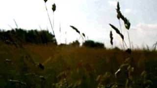 &quot;Oceans Apart&quot; by The Fire Theft